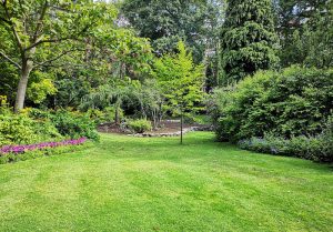 Optimiser l'expérience du jardin à Berd'huis